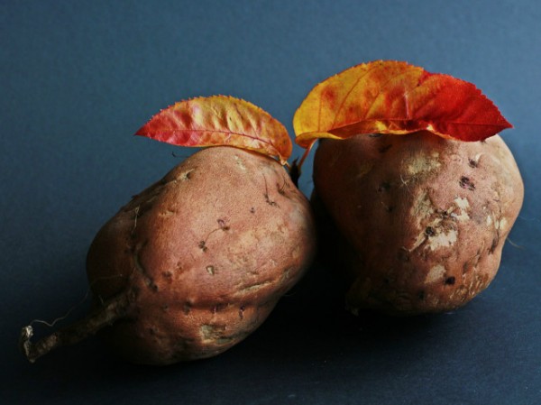 sweet-potato-534874_960_720.jpg